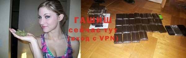 герыч Алексин