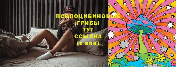 герыч Алексин